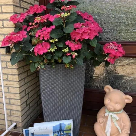 Gemuetliches Am Riepen Appartement